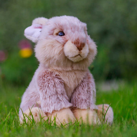 Peluche Animigos - Lapin d'Europe