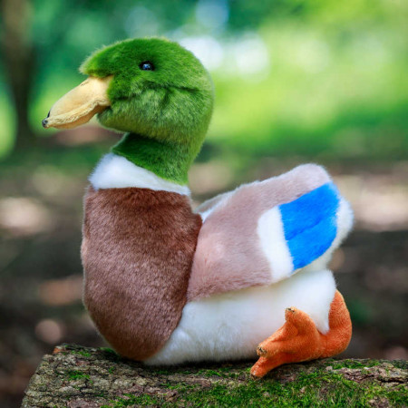 Peluche Animigos - Canard Col Vert