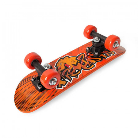 Skateboard Miroir 22'