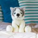 Peluche Animigos - Husky